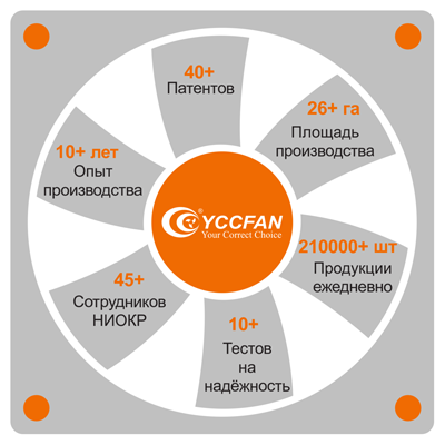 Рис. 1. Деятельность компании YCCFAN